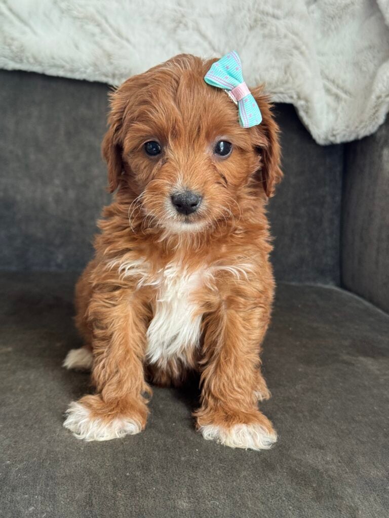 Twix
